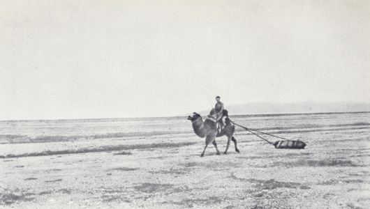 Монголия и cтрана Тангутов; Mongolia; Tanguts; East Asia; И. М. Пржевальский; N. M. Przevalskij; expedition to East Asia; Eastern Turkestan