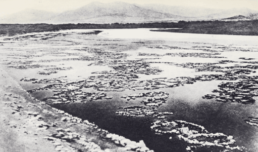 Монголия и cтрана Тангутов; Mongolia; Tanguts; East Asia; И. М. Пржевальский; N. M. Przevalskij; expedition to East Asia; Eastern Turkestan