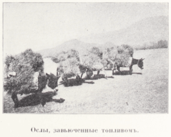 Цыбиков; Tsybikov; Буддистъ Паломникъ у Святынь Тибета; Buddhist Pilgrims at the Sanctuaries of Tibet; travel accounts