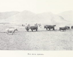 Цыбиков; Tsybikov; Буддистъ Паломникъ у Святынь Тибета; Buddhist Pilgrims at the Sanctuaries of Tibet; travel accounts